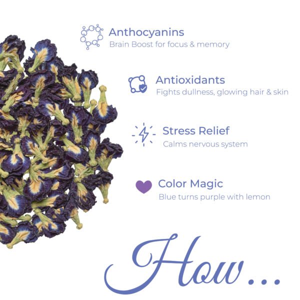 Butterfly Blue Pea Flower Tea | Antioxidant, Brain & Eye Support