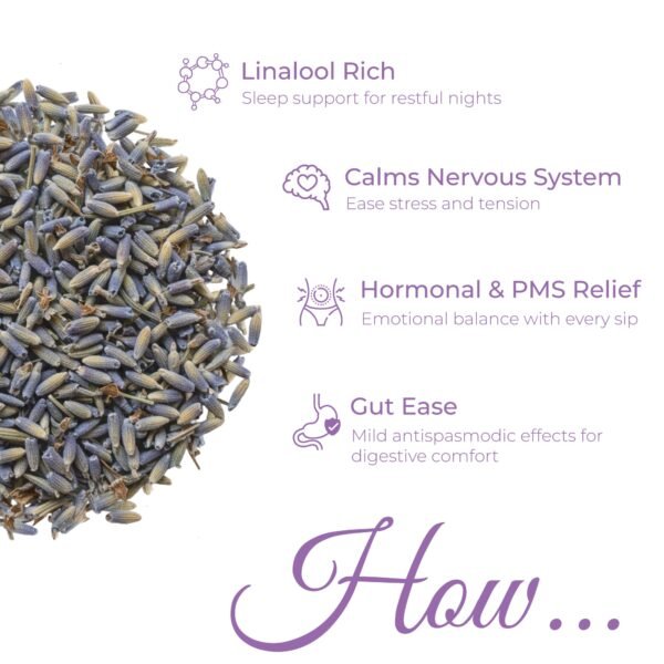 Lavender Flower Tea | Calm, Sleep & PMS Relief
