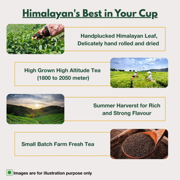 Himalayan Harmony Black Tea | Bold Morning Energy