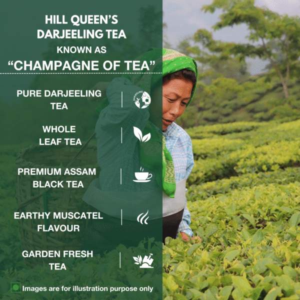 Second Flush Darjeeling Black Tea | High-Grown & Muscatel