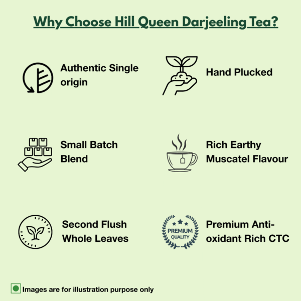 Second Flush Darjeeling Black Tea | High-Grown & Muscatel