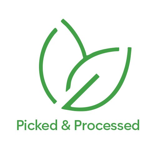 Picked & Processed