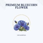 Blue Cornflower Tea — ingredients
