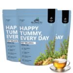 Gut Balance Herbal Tea — pack3