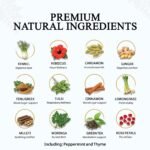 Herbal Lung Detox — ingredients