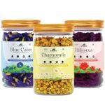 Immunity Shield Trio — 40g jars