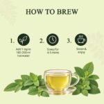 Lemon Balm — brew