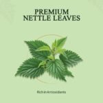Nettle Leaf — ingredients