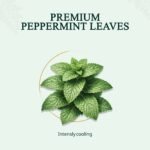 Peppermint Leaf — ingredients