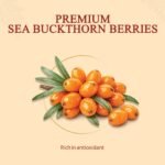 Sea Buckthorn Berry — ingredients