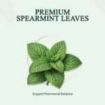Spearmint Leaf — ingredients