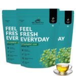 Spearmint Leaf — pack3