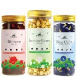 Vibrant Wellness Trio — 20g jars